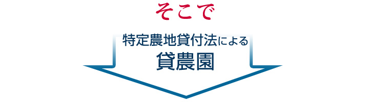 特定農地貸付法による貸農園