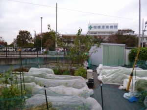 相模原市大野台　貸農園　（調整区域での活用）